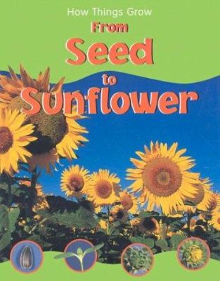 From seed to sunflower