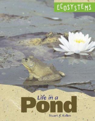 Life in a pond