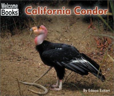 California condor