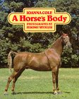 A horse's body