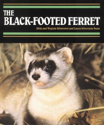 The black-footed ferret