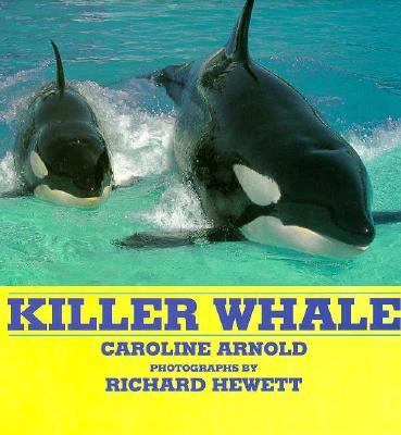 Killer whale