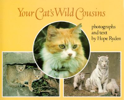 Your cat's wild cousins