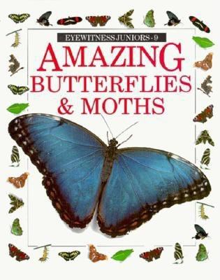 Amazing butterflies & moths