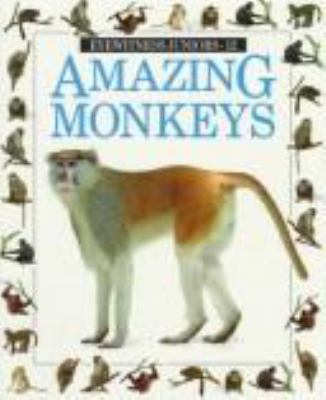 Amazing monkeys