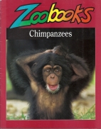 Chimpanzees & bonobos.