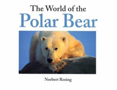 The world of the Polar Bear