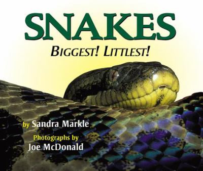 Snakes : biggest! littlest!