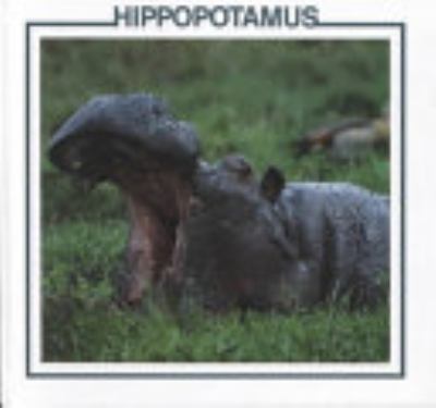 Hippopotamus