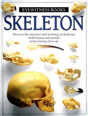 Skeleton