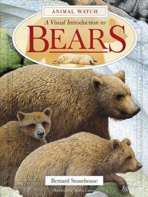 Bears : a visual introduction to bears