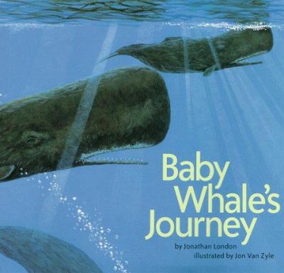 Baby whale's journey