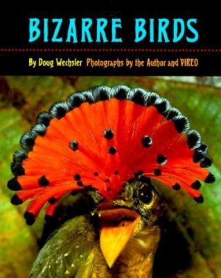 Bizarre birds