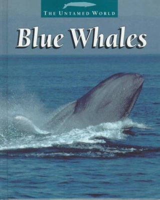 Blue whales