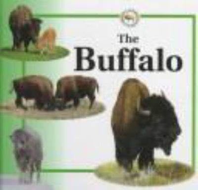 The buffalo