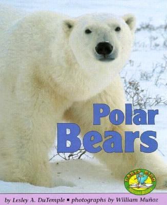 Polar bears