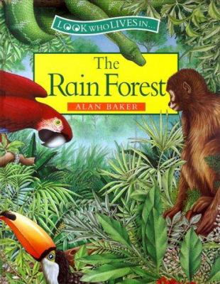 The rain forest