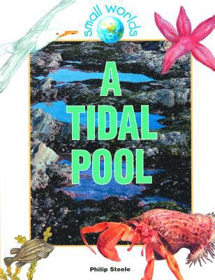 A tidal pool