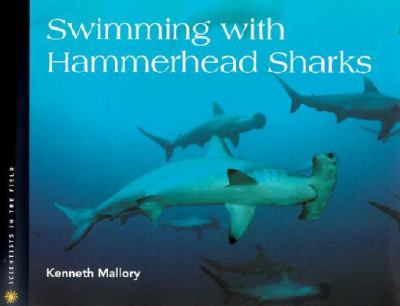 Swimming with hammerhead sharks