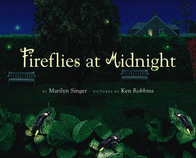 Fireflies at midnight