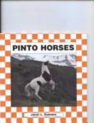 Pinto horses