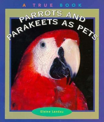 Parrots and parakeets as pets