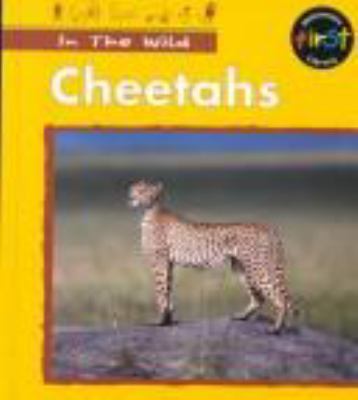 Cheetahs