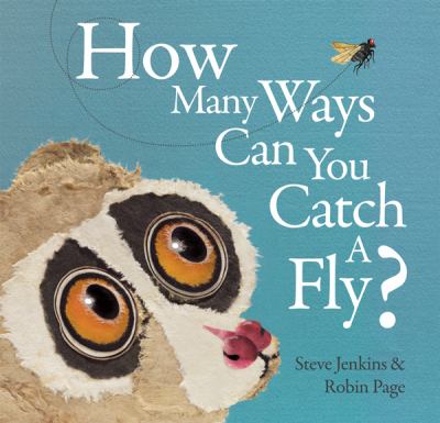How many ways-- can you catch a fly?