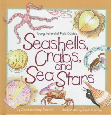 Seashells, crabs, and sea stars