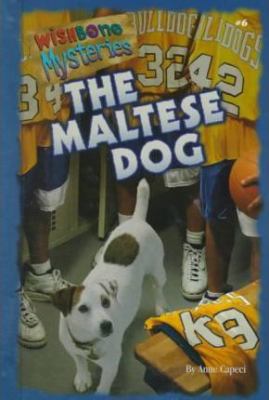 The Maltese dog