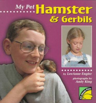 My pet hamster and gerbils