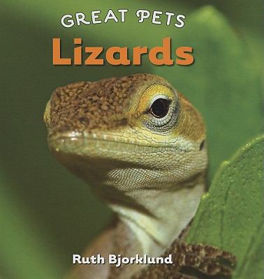 Lizards