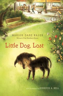 Little dog, lost