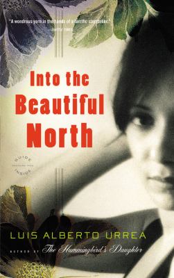 Into the beautiful North : a novel
