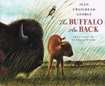 The buffalo are back