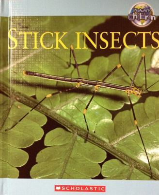 Stick insects