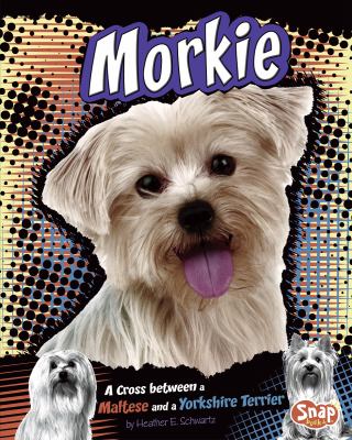 Morkie : a cross between a Maltese and a Yorkshire Terrier