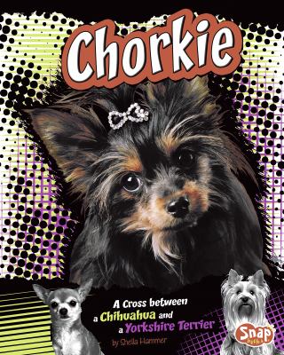 Chorkie : a cross between a chihuahua and a Yorkshire terrier