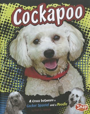 Cockapoo : a cross between a Cocker spaniel and a Poodle