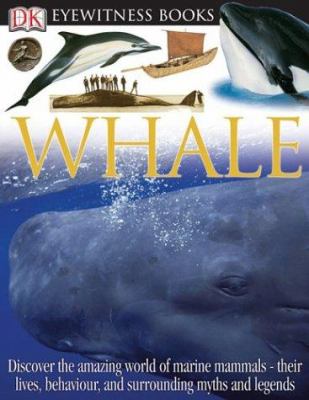 Eyewitness whale