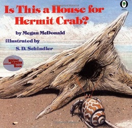 Is this a house for Hermit Crab