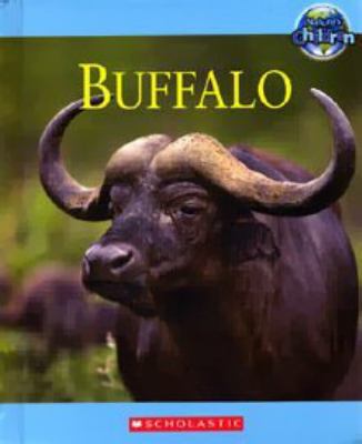 Buffalo