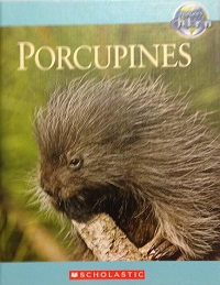 Porcupines