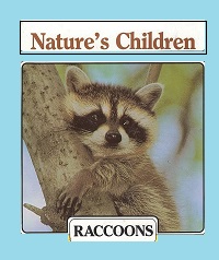 Raccoons