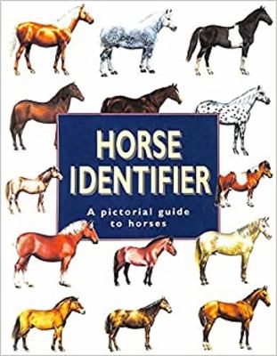 Horse identifier.