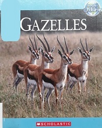 Gazelles