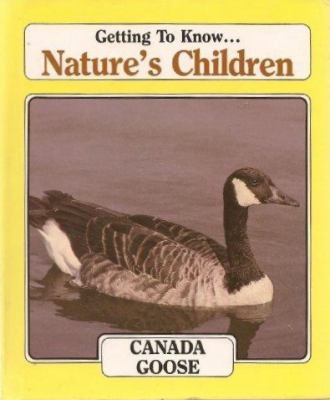 Canada goose