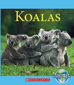 Koalas