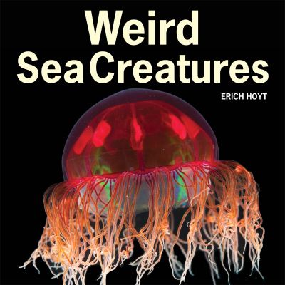 Weird sea creatures