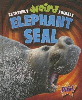 Elephant seal : Extrememly Weird Animals